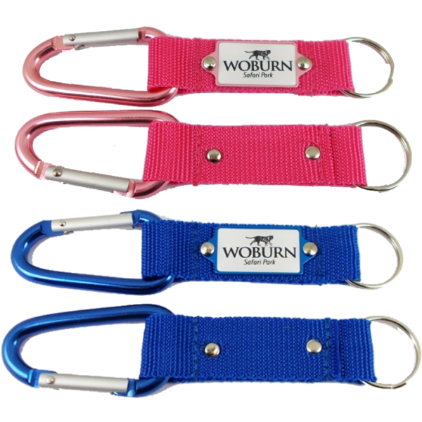 Carabiner key ring with printed full colour domed decal